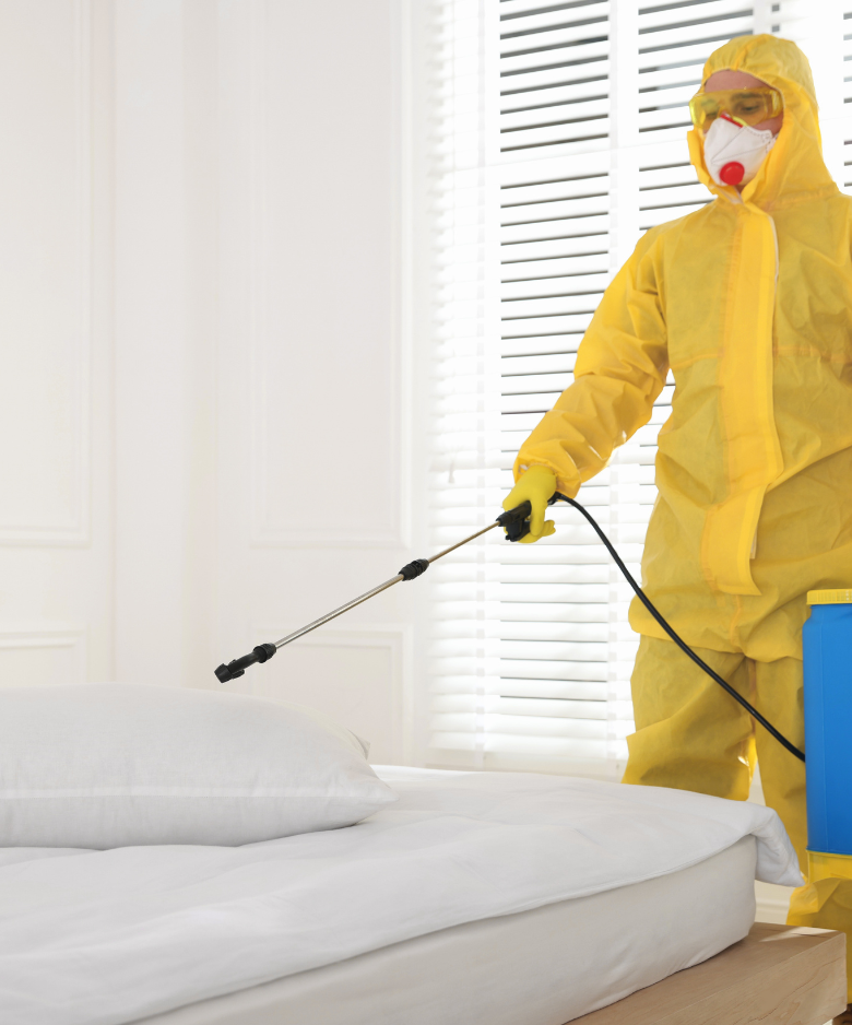 Professional Pest Control Team in Warradale